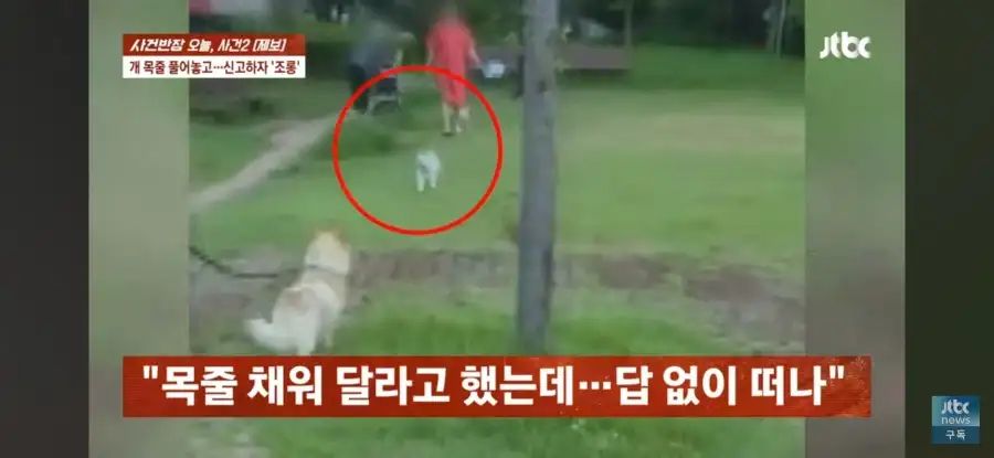 대한민국 시민의식 근황.jpg_5.webp