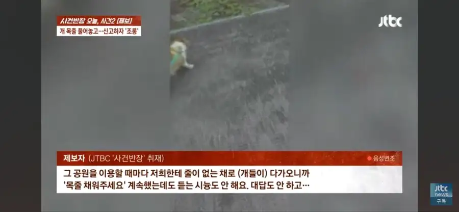 대한민국 시민의식 근황.jpg_6.webp