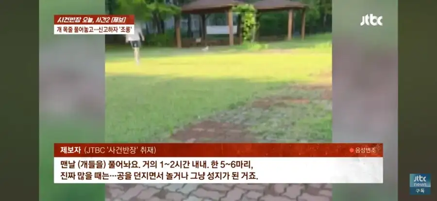 대한민국 시민의식 근황.jpg_7.webp