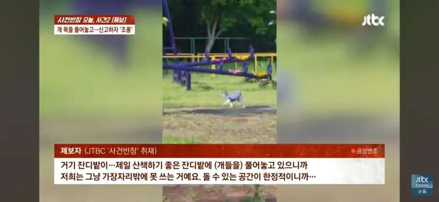 대한민국 시민의식 근황.jpg_8.webp