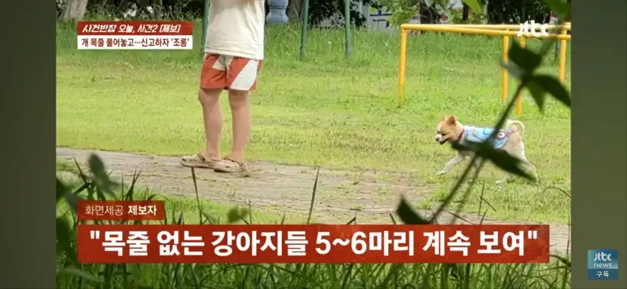 대한민국 시민의식 근황.jpg_9.webp