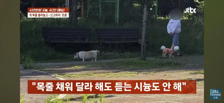 대한민국 시민의식 근황.jpg_10.webp