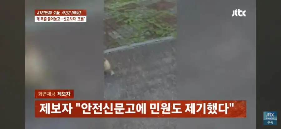 대한민국 시민의식 근황.jpg_11.webp