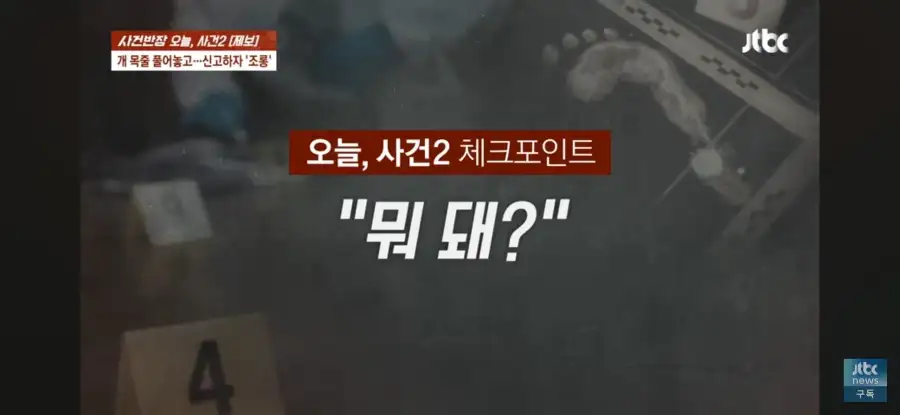 대한민국 시민의식 근황.jpg_15.webp