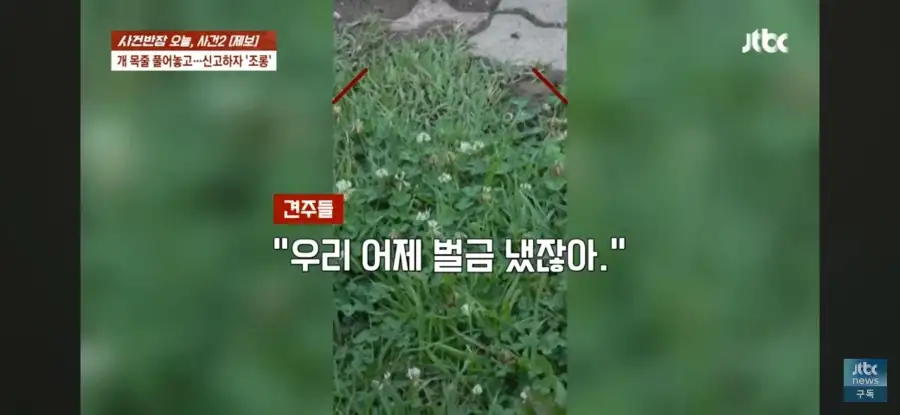 대한민국 시민의식 근황.jpg_16.webp