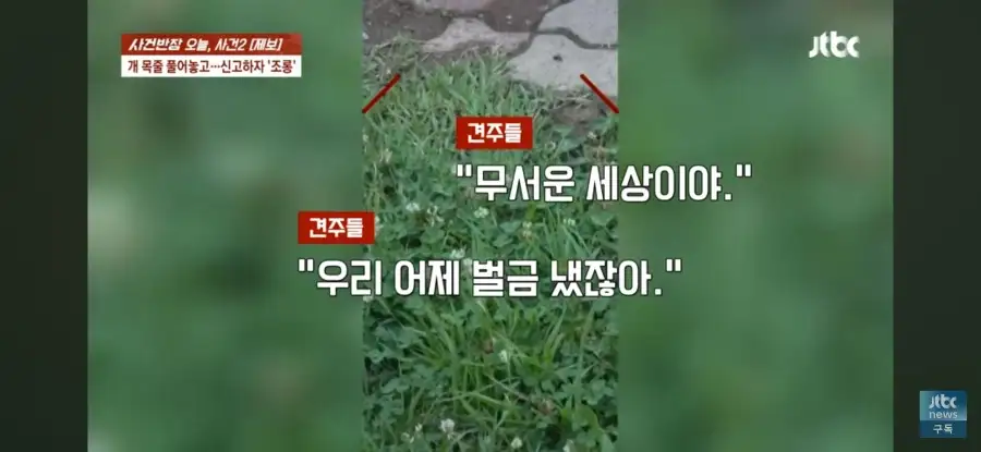 대한민국 시민의식 근황.jpg_17.webp
