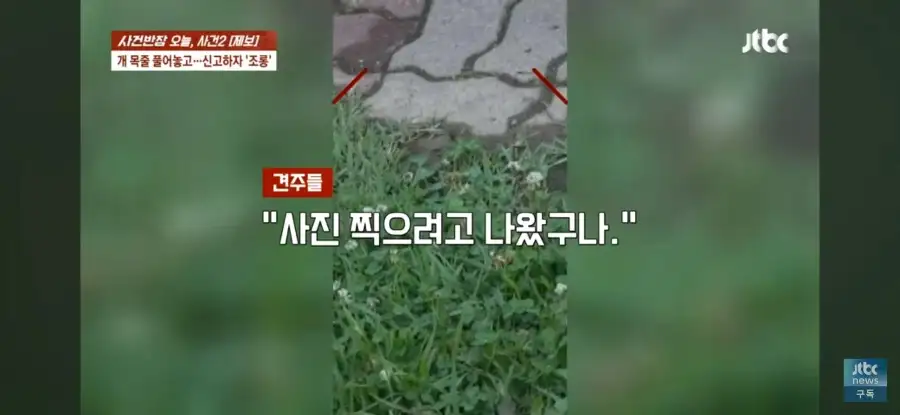 대한민국 시민의식 근황.jpg_18.webp