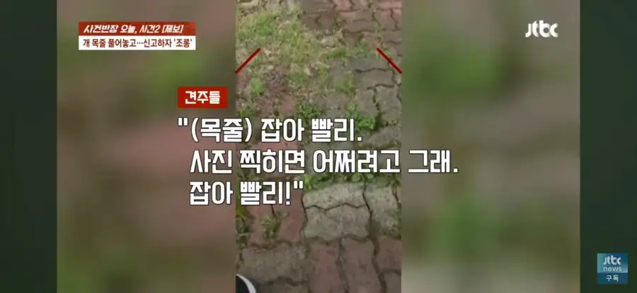 대한민국 시민의식 근황.jpg_19.webp