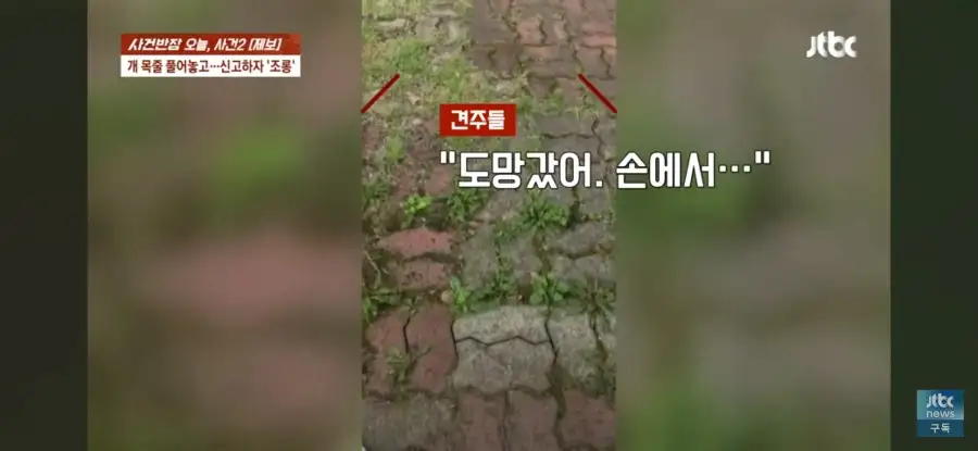 대한민국 시민의식 근황.jpg_20.webp