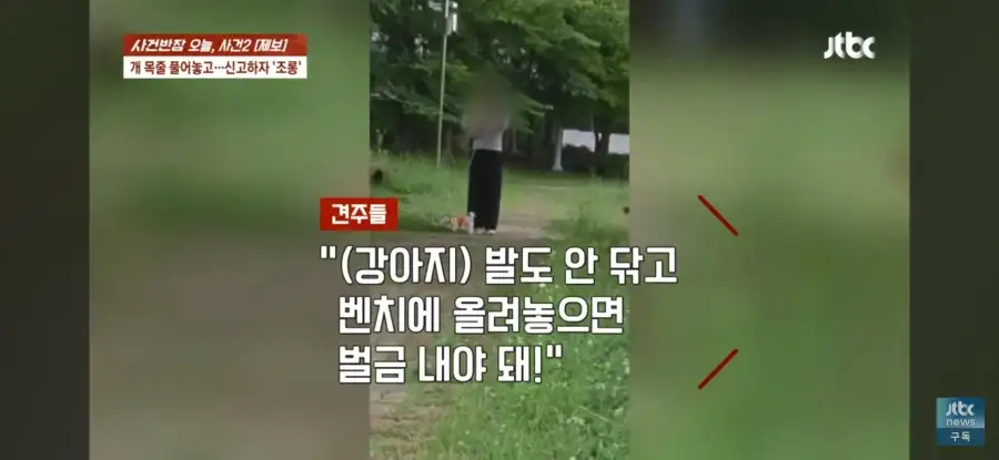 대한민국 시민의식 근황.jpg_26.webp