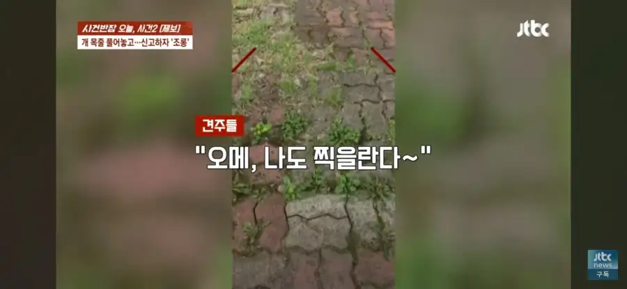 대한민국 시민의식 근황.jpg_23.webp
