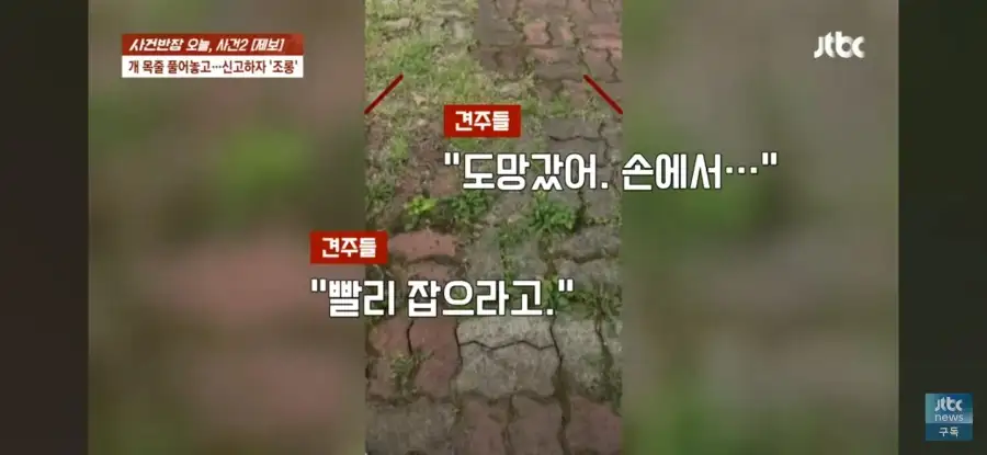 대한민국 시민의식 근황.jpg_21.webp
