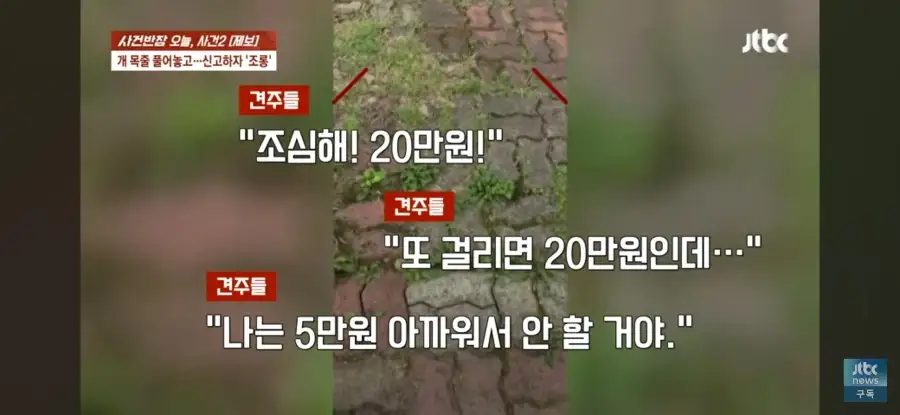대한민국 시민의식 근황.jpg_22.webp