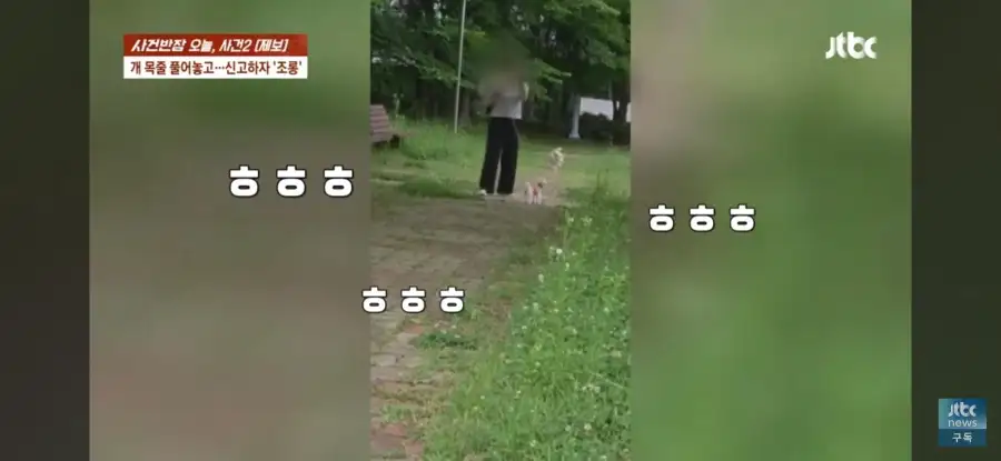 대한민국 시민의식 근황.jpg_27.webp
