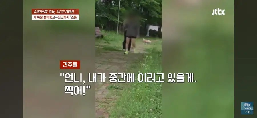 대한민국 시민의식 근황.jpg_28.webp