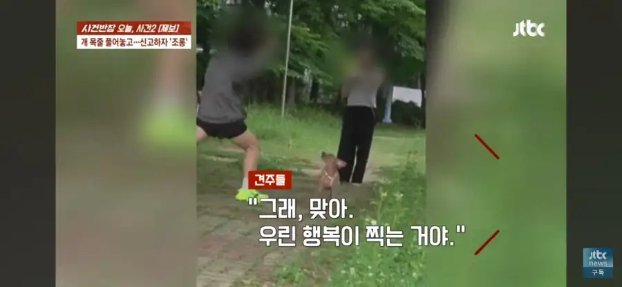 대한민국 시민의식 근황.jpg_29.webp
