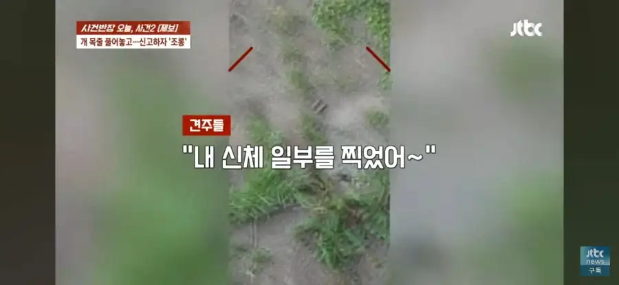 대한민국 시민의식 근황.jpg_30.webp