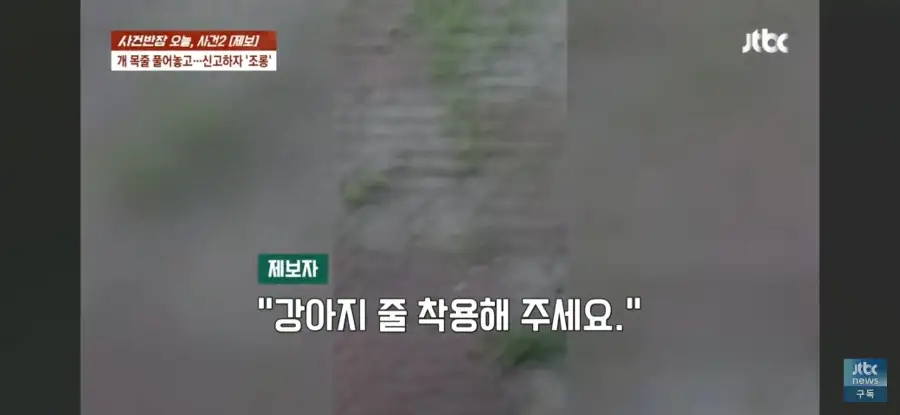 대한민국 시민의식 근황.jpg_34.webp
