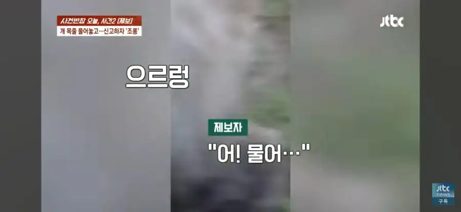 대한민국 시민의식 근황.jpg_36.webp