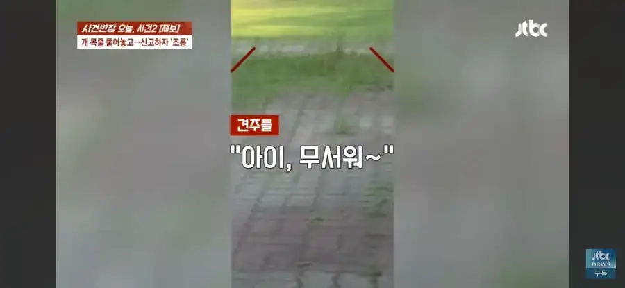 대한민국 시민의식 근황.jpg_31.webp