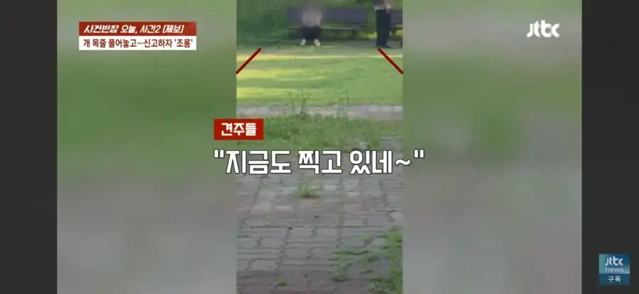 대한민국 시민의식 근황.jpg_32.webp