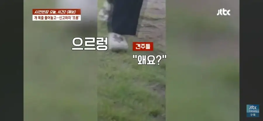 대한민국 시민의식 근황.jpg_35.webp