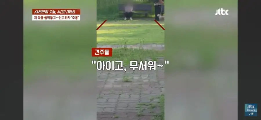 대한민국 시민의식 근황.jpg_33.webp