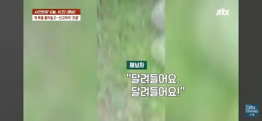 대한민국 시민의식 근황.jpg_37.webp