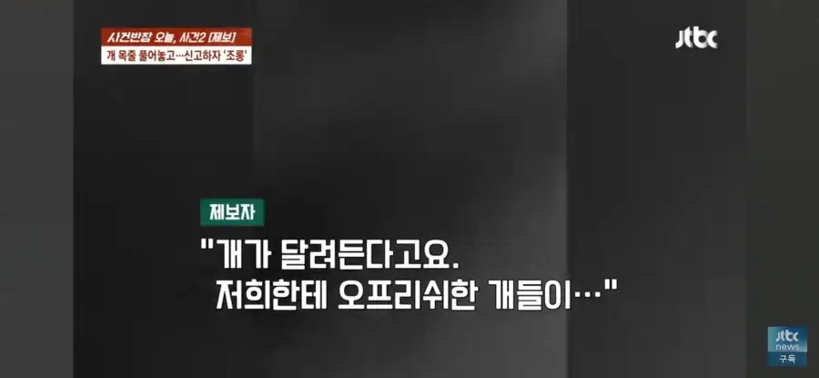 대한민국 시민의식 근황.jpg_38.webp