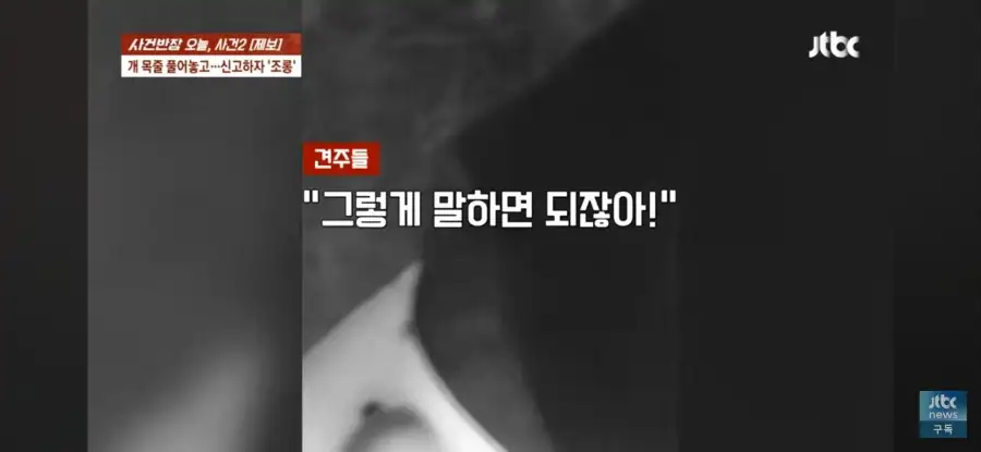 대한민국 시민의식 근황.jpg_39.webp