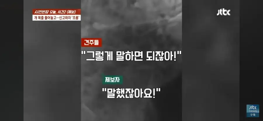 대한민국 시민의식 근황.jpg_40.webp
