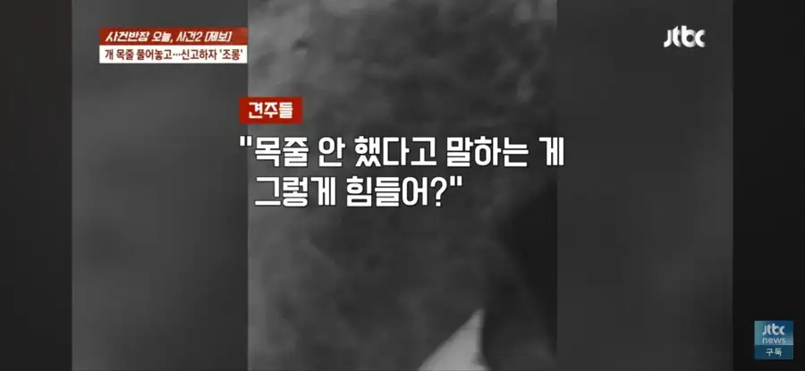 대한민국 시민의식 근황.jpg_44.webp