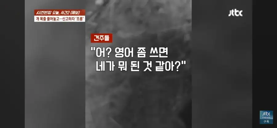 대한민국 시민의식 근황.jpg_45.webp