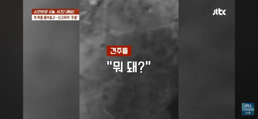 대한민국 시민의식 근황.jpg_46.webp