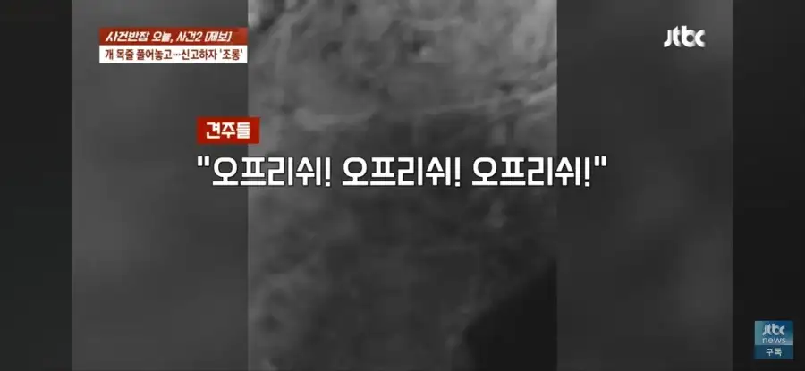 대한민국 시민의식 근황.jpg_41.webp