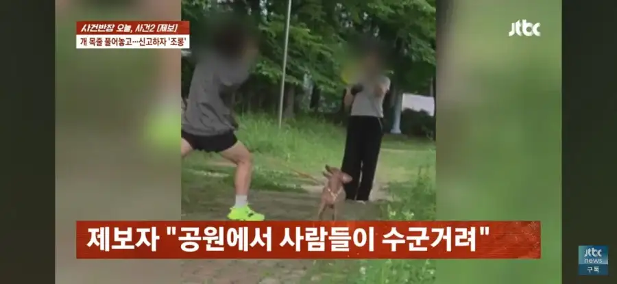 대한민국 시민의식 근황.jpg_48.webp