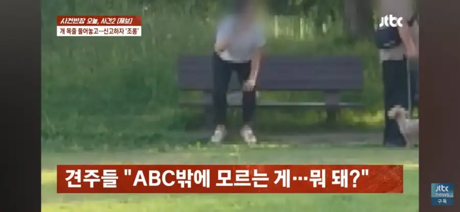 대한민국 시민의식 근황.jpg_50.webp