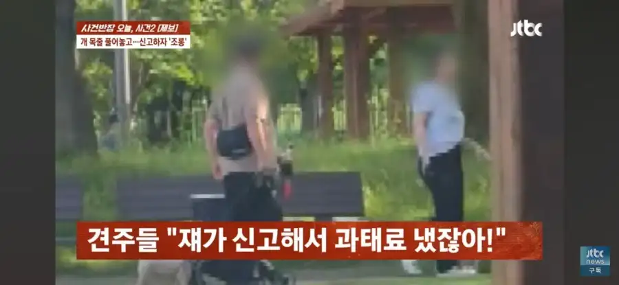 대한민국 시민의식 근황.jpg_51.webp