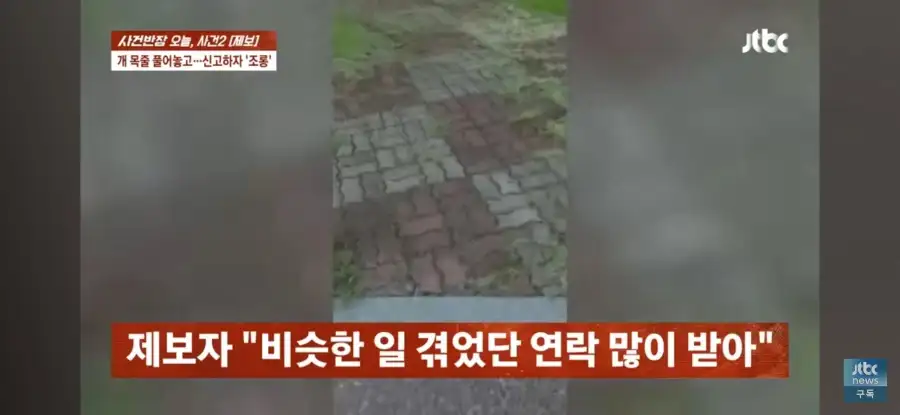 대한민국 시민의식 근황.jpg_53.webp