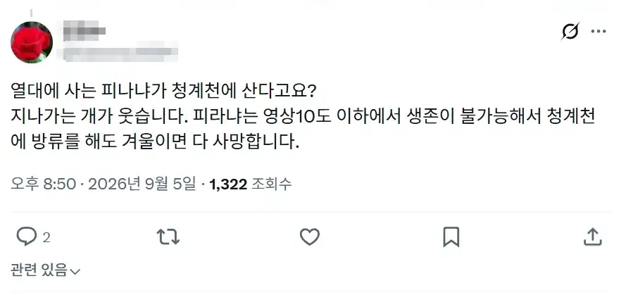 청계천 드립 쳤다가 욕먹은 일본 블붕이_2.webp