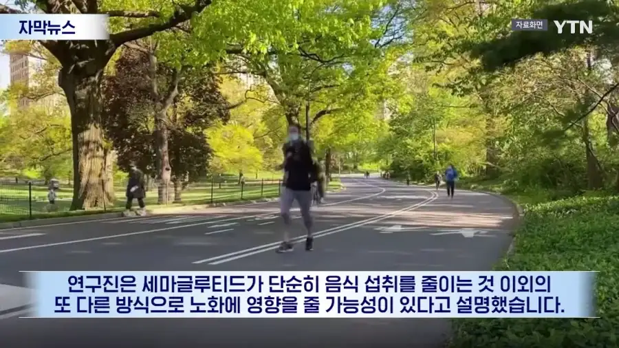 수명까지 늘었다...비만약 뜻밖의 효과_10.webp
