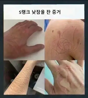 S랭크 낮잠의 증거_1.webp