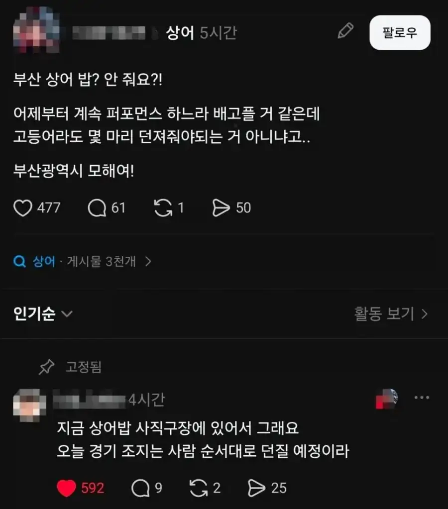 부산시에서 상어에게 밥을 안주는 이유_1.webp
