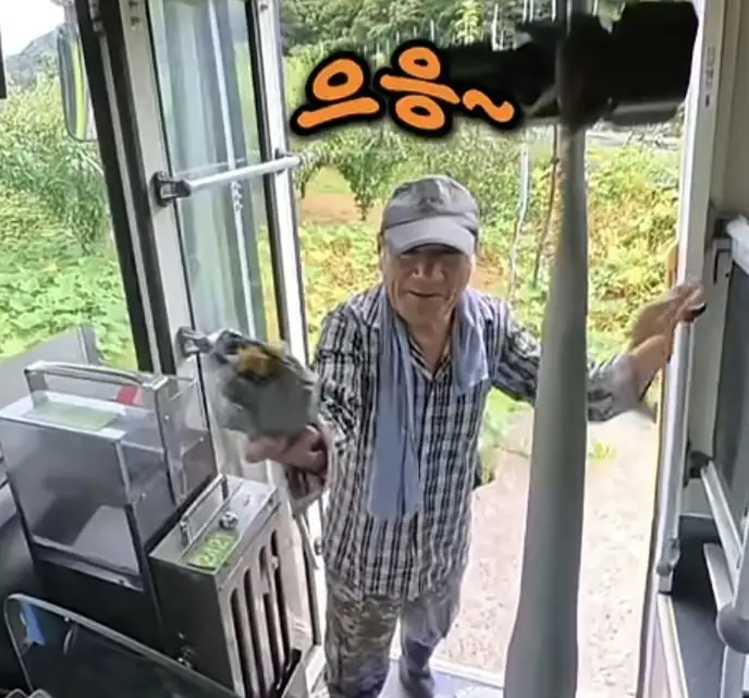 클릭하시면 원본 이미지를 보실 수 있습니다.