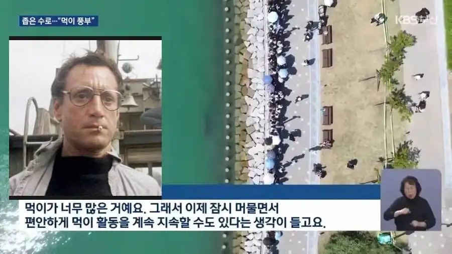 부산상어 우려를 표하는 전문가_1.webp