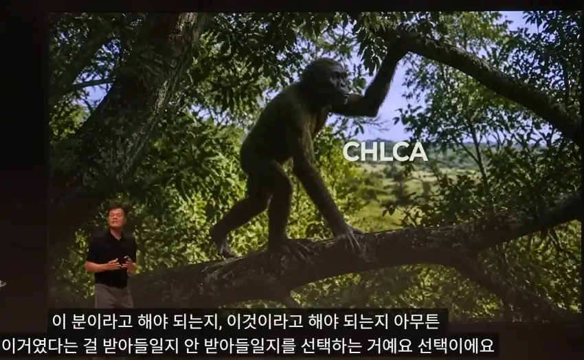 20260922131150_bawcPDU4KI.webp