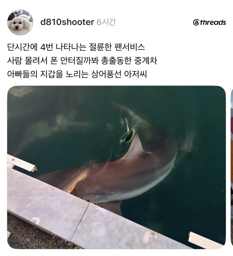 상어공원 근황.jpg_1.webp