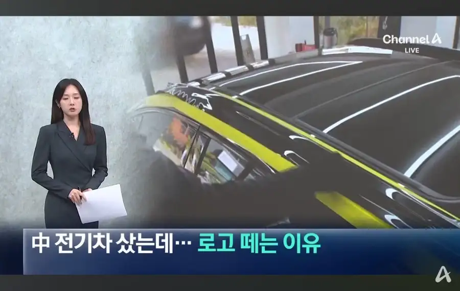 로고 전부 땐다는 BYD 차주들 근황_1.webp