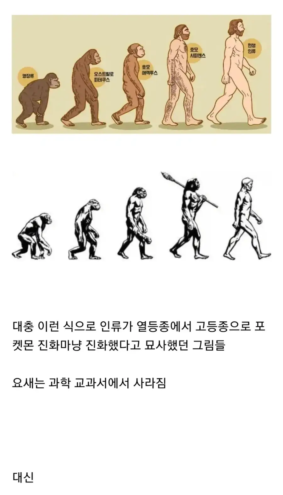 진화론을 조롱하는 대학생_1.webp