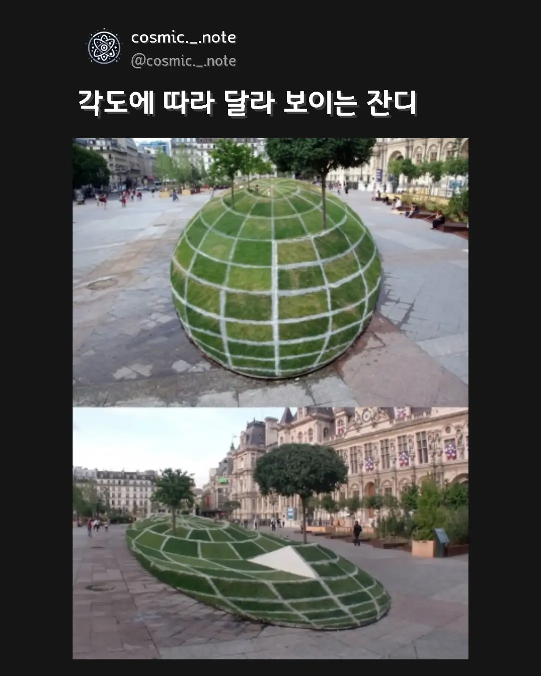 42762.jpg